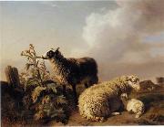 unknow artist Sheep 150 painting
